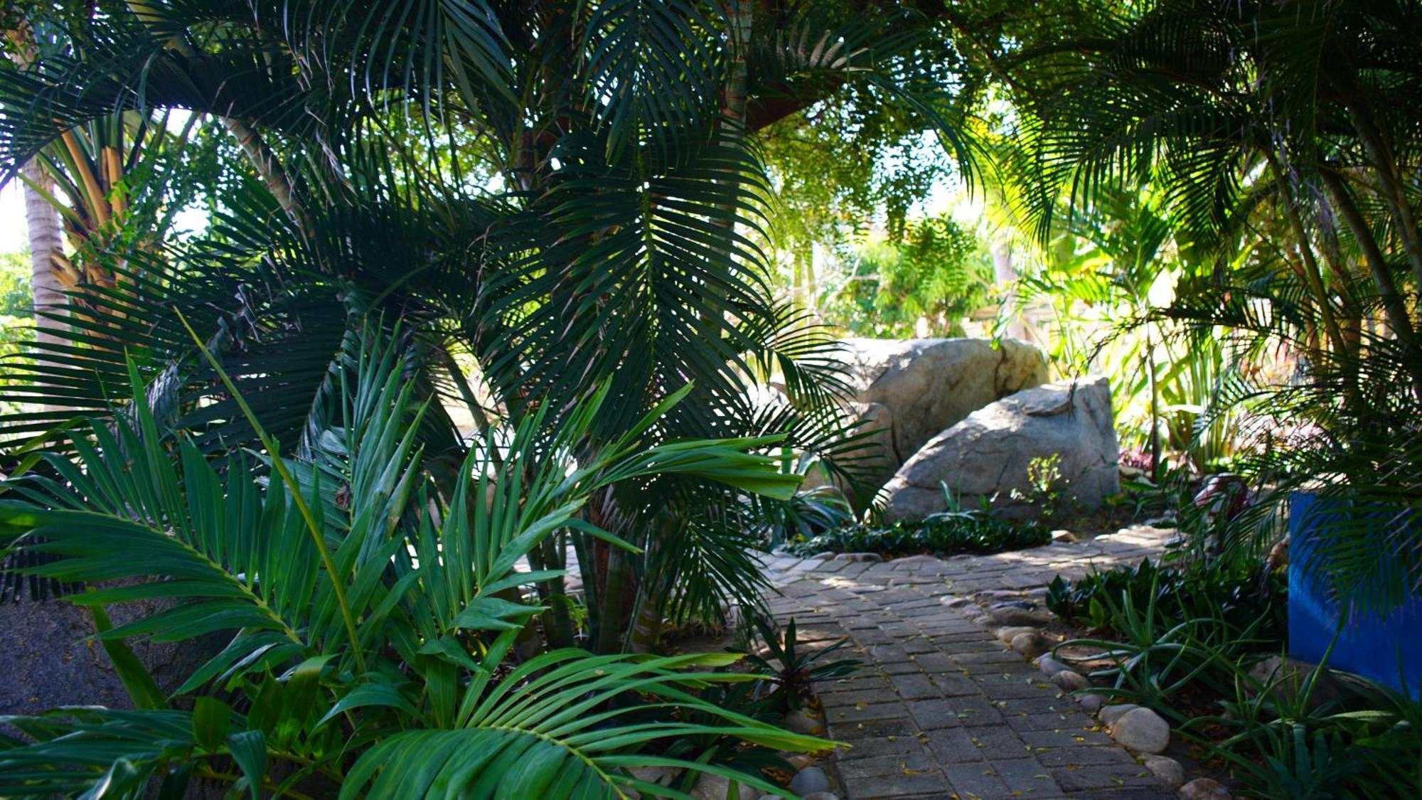 Ocean Oasis Hotel - Adult Only, Four Casitas Boutique Resort Agua Blanca Exterior foto