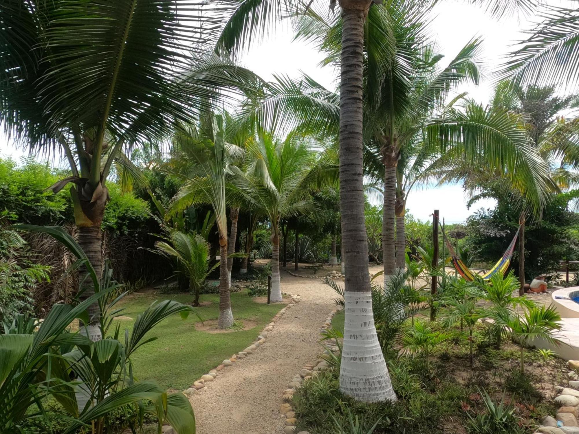 Ocean Oasis Hotel - Adult Only, Four Casitas Boutique Resort Agua Blanca Exterior foto
